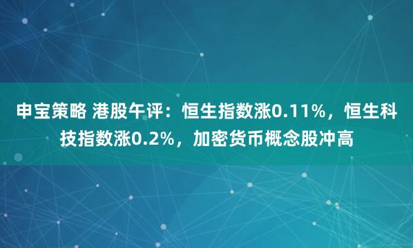 申宝策略 港股午评：恒生指数涨0.11%，恒生科技指数涨0.2%，加密货币概念股冲高