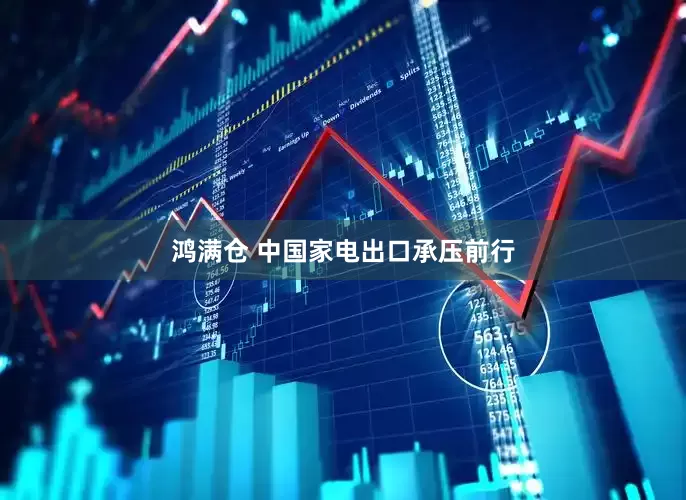 鸿满仓 中国家电出口承压前行