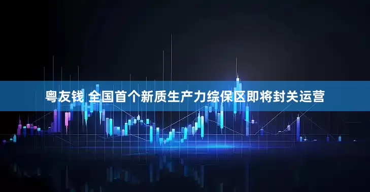 粤友钱 全国首个新质生产力综保区即将封关运营