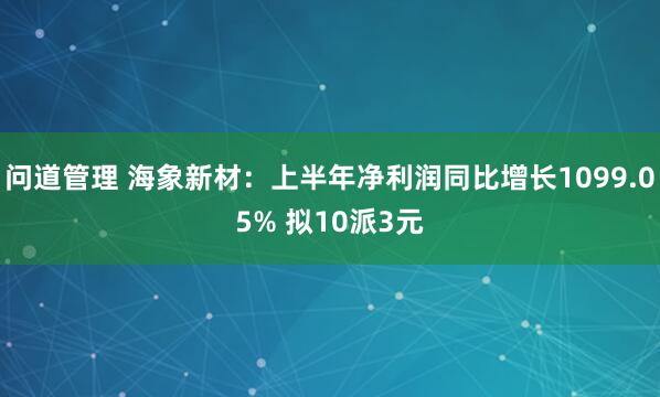 问道管理 海象新材：上半年净利润同比增长1099.05% 拟10派3元