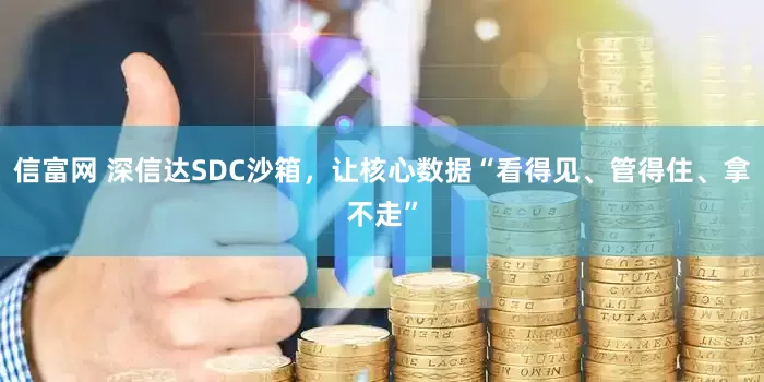信富网 深信达SDC沙箱，让核心数据“看得见、管得住、拿不走”