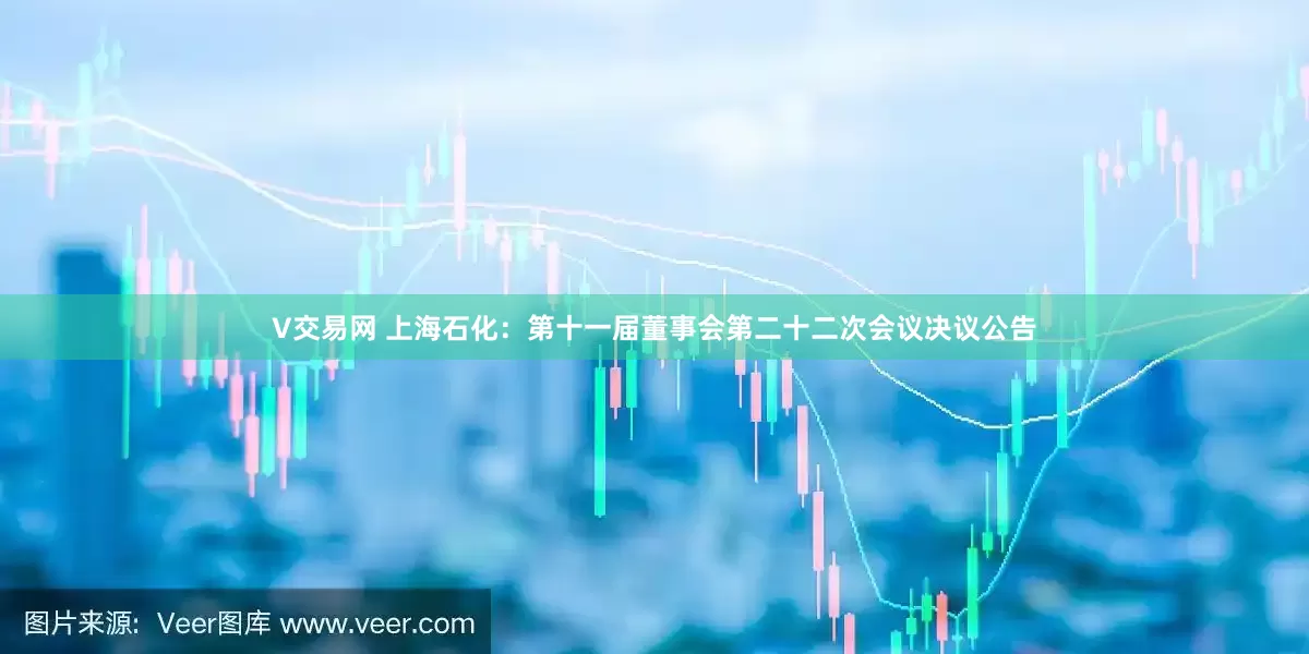 V交易网 上海石化：第十一届董事会第二十二次会议决议公告