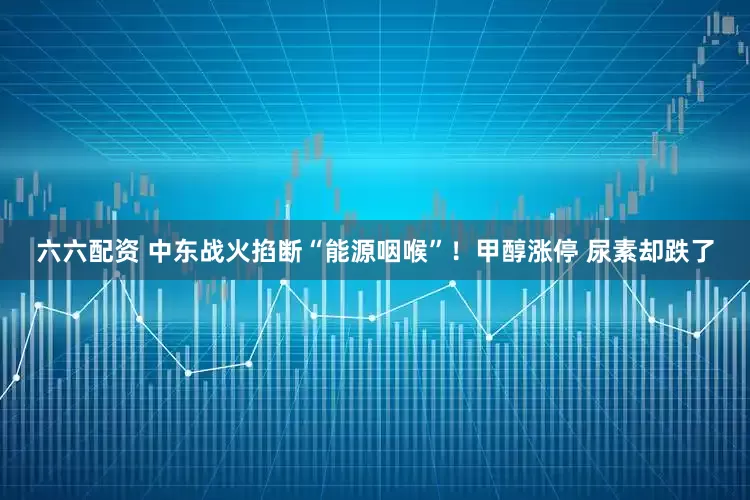 六六配资 中东战火掐断“能源咽喉”！甲醇涨停 尿素却跌了